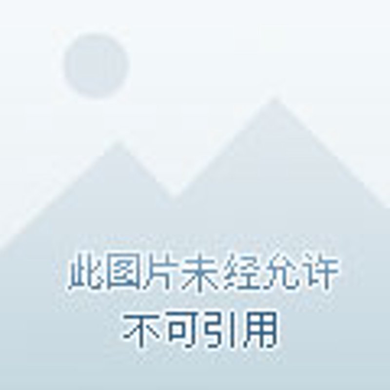老王加速器：网络生活的快捷通途